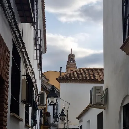 アパート Vivienda Turistica En El Patio De La Juderia