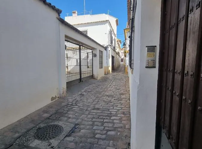 Vivienda Turistica En El Patio De La Juderia Apartment *